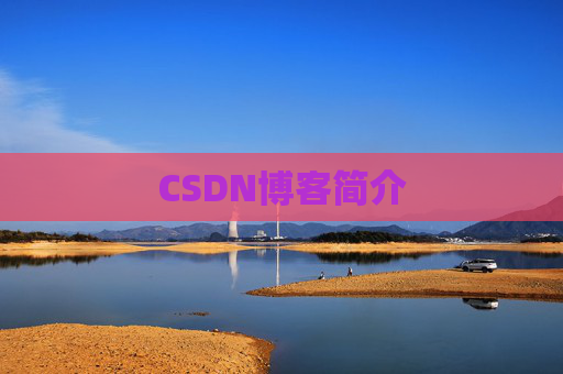 CSDN博客简介